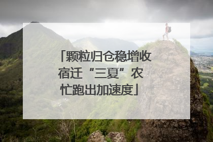 颗粒归仓稳增收 宿迁“三夏”农忙跑出加速度