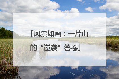 风景如画：一片山的“逆袭”答卷