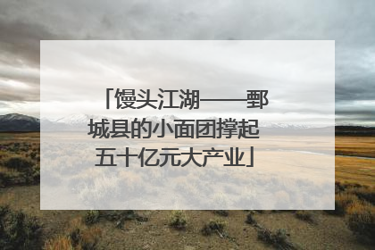 馒头江湖——鄄城县的小面团撑起五十亿元大产业