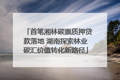 首笔湘林碳票质押贷款落地 湖南探索林业碳汇价值转化新路径