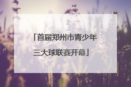 首届郑州市青少年三大球联赛开幕