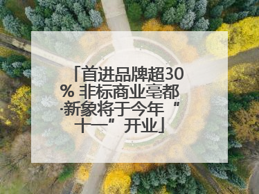首进品牌超30% 非标商业亳都·新象将于今年“十一”开业