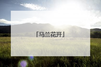 马兰花开