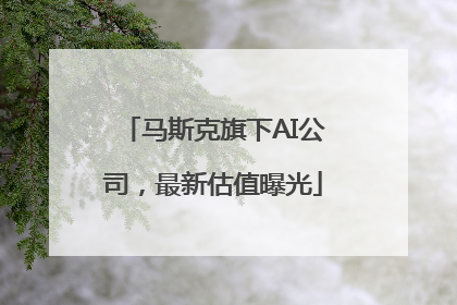 马斯克旗下AI公司，最新估值曝光
