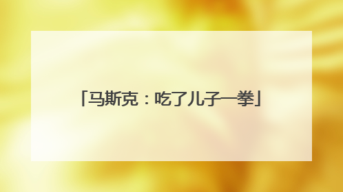 马斯克：吃了儿子一拳