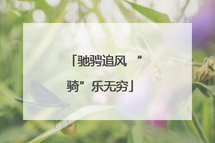 驰骋追风 “骑”乐无穷