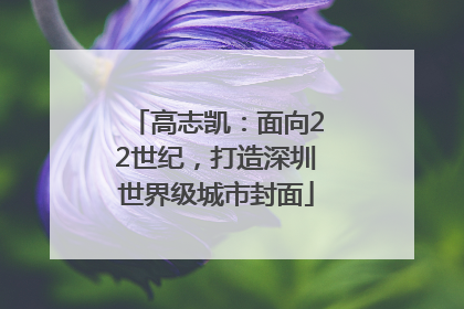 高志凯：面向22世纪，打造深圳世界级城市封面