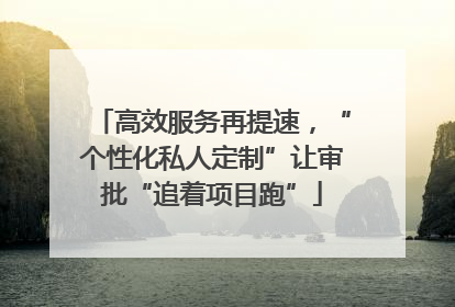 高效服务再提速，“个性化私人定制”让审批“追着项目跑”
