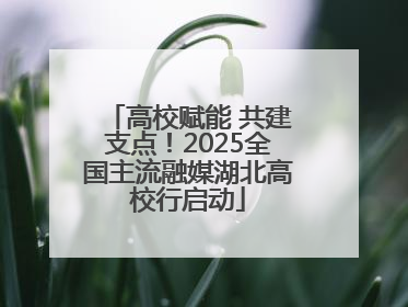 高校赋能 共建支点！2025全国主流融媒湖北高校行启动