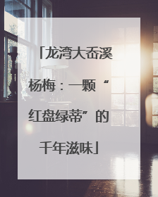 龙湾大岙溪杨梅：一颗“红盘绿蒂”的千年滋味