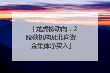 龙虎榜动向：2股获机构及北向资金集体净买入