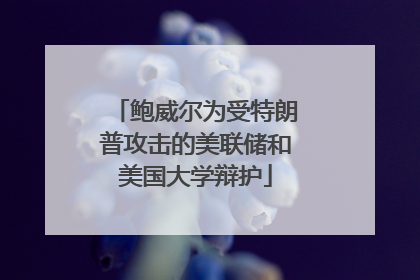 鲍威尔为受特朗普攻击的美联储和美国大学辩护