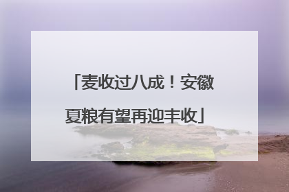 麦收过八成！安徽夏粮有望再迎丰收