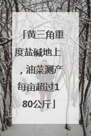 黄三角重度盐碱地上，油菜测产每亩超过180公斤