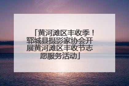 黄河滩区丰收季！郓城县摄影家协会开展黄河滩区丰收节志愿服务活动