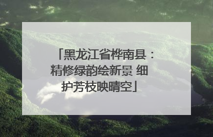 黑龙江省桦南县：精修绿韵绘新景 细护芳枝映晴空