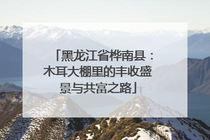 黑龙江省桦南县：木耳大棚里的丰收盛景与共富之路