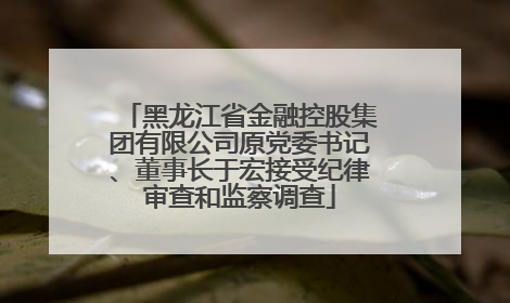 黑龙江省金融控股集团有限公司原党委书记、董事长于宏接受纪律审查和监察调查