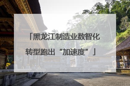 黑龙江制造业数智化转型跑出“加速度”