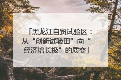 黑龙江自贸试验区：从“创新试验田”向“经济增长极”的质变