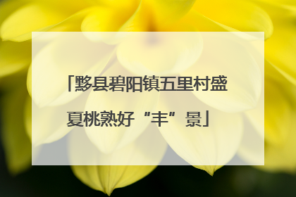 黟县碧阳镇五里村盛夏桃熟好“丰”景