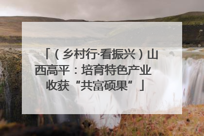 （乡村行·看振兴）山西高平：培育特色产业 收获“共富硕果”