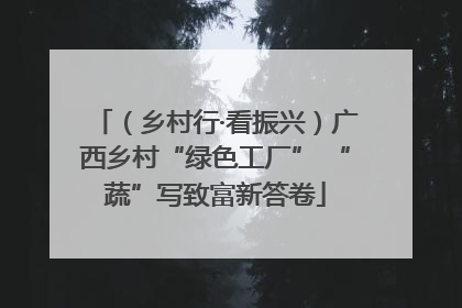 （乡村行·看振兴）广西乡村“绿色工厂” “蔬”写致富新答卷