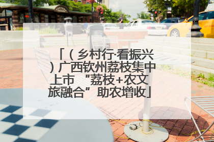 （乡村行·看振兴）广西钦州荔枝集中上市 “荔枝+农文旅融合”助农增收