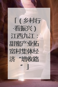 （乡村行·看振兴）江西九江：甜蜜产业拓宽村集体经济“增收路”