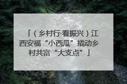 （乡村行·看振兴）江西安福“小西瓜”撬动乡村共富“大支点”