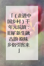 （走进中国乡村）千年元坑镇：旧矿新生融古韵 原味乡俗引客来