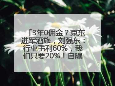 3年0佣金？京东进军酒旅，刘强东：行业毛利60%，我们只要20%！自曝曾请王兴吃饭“我要做外卖了”