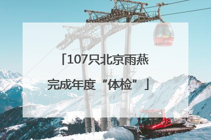 107只北京雨燕完成年度“体检”