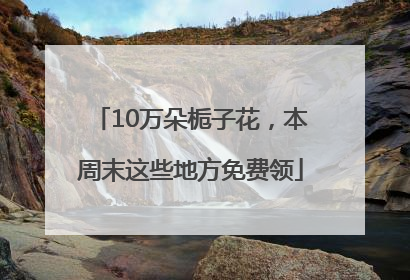 10万朵栀子花，本周末这些地方免费领
