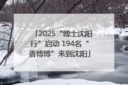 2025“博士沈阳行”启动 194名“香博博”来到沈阳