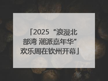 2025“浪漫北部湾 潮派嘉年华”欢乐周在钦州开幕