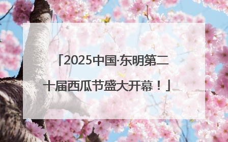 2025中国·东明第二十届西瓜节盛大开幕！
