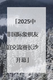 2025中非国际象棋友谊交流赛长沙开幕
