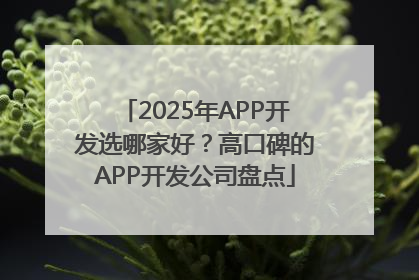 2025年APP开发选哪家好？高口碑的APP开发公司盘点