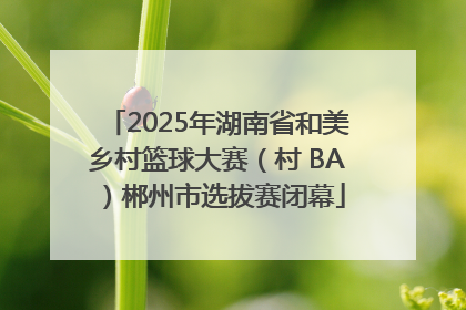 2025年湖南省和美乡村篮球大赛（村 BA）郴州市选拔赛闭幕