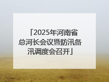 2025年河南省总河长会议暨防汛备汛调度会召开