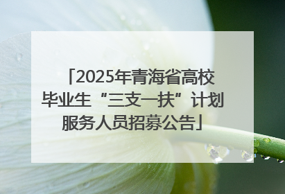 2025年青海省高校毕业生“三支一扶”计划服务人员招募公告
