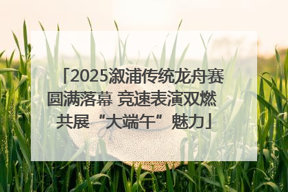 2025溆浦传统龙舟赛圆满落幕 竞速表演双燃 共展“大端午”魅力