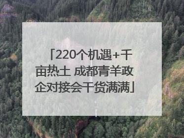 220个机遇+千亩热土 成都青羊政企对接会干货满满