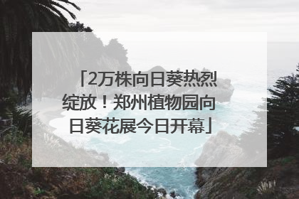 2万株向日葵热烈绽放！郑州植物园向日葵花展今日开幕