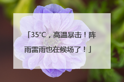 35℃，高温暴击！阵雨雷雨也在候场了！