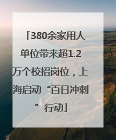 380余家用人单位带来超1.2万个校招岗位，上海启动“百日冲刺”行动