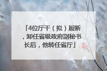 4位厅干（拟）履新，卸任省级政府副秘书长后，他转任省厅