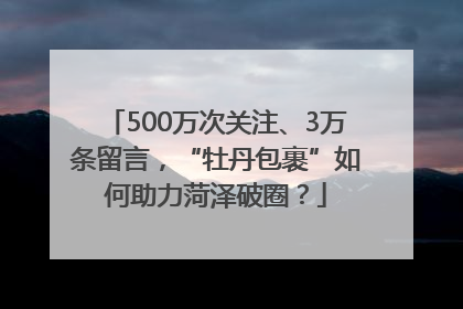 500万次关注、3万条留言，“牡丹包裹”如何助力菏泽破圈？