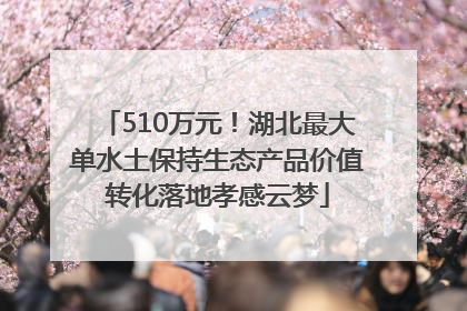 510万元！湖北最大单水土保持生态产品价值转化落地孝感云梦